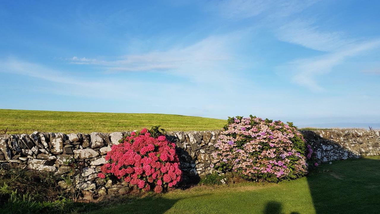 31 Laigh Isle Villa Isle of Whithorn Ngoại thất bức ảnh